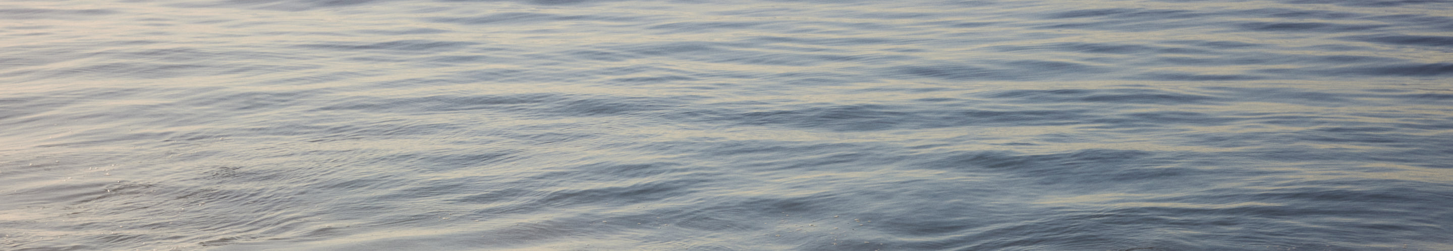 Ripples of water on the beach
