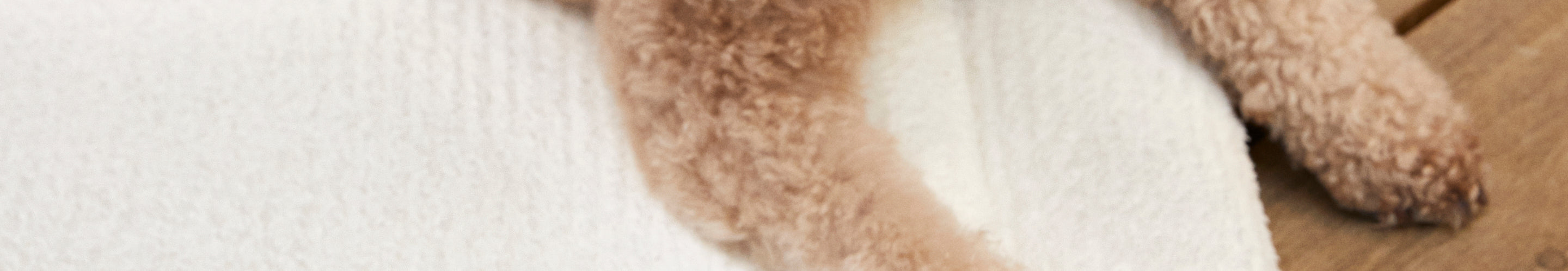 Paws of brown dog on white blanket