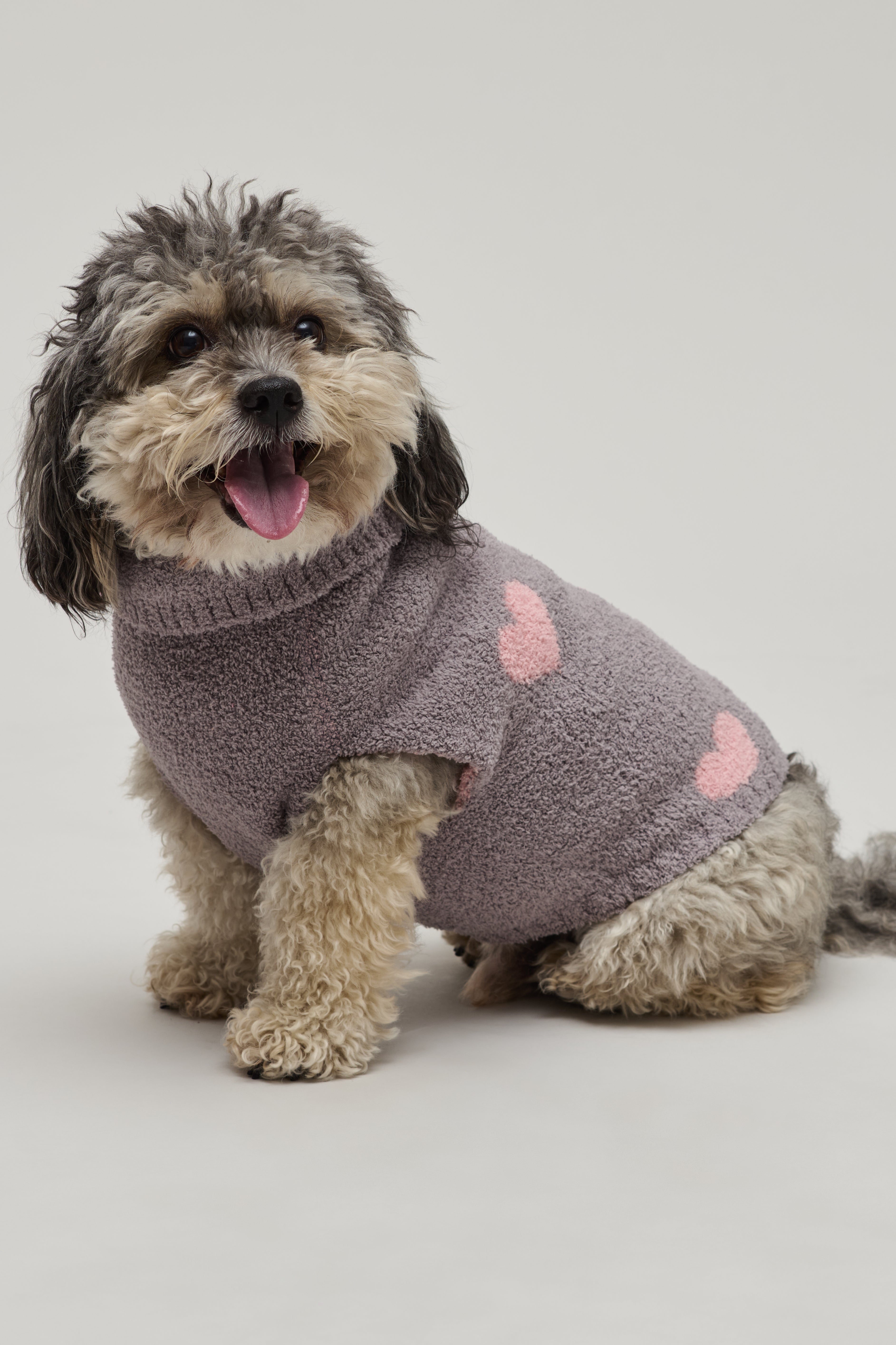 CozyChic® Heart Print Pet Sweater | Barefoot Dreams®