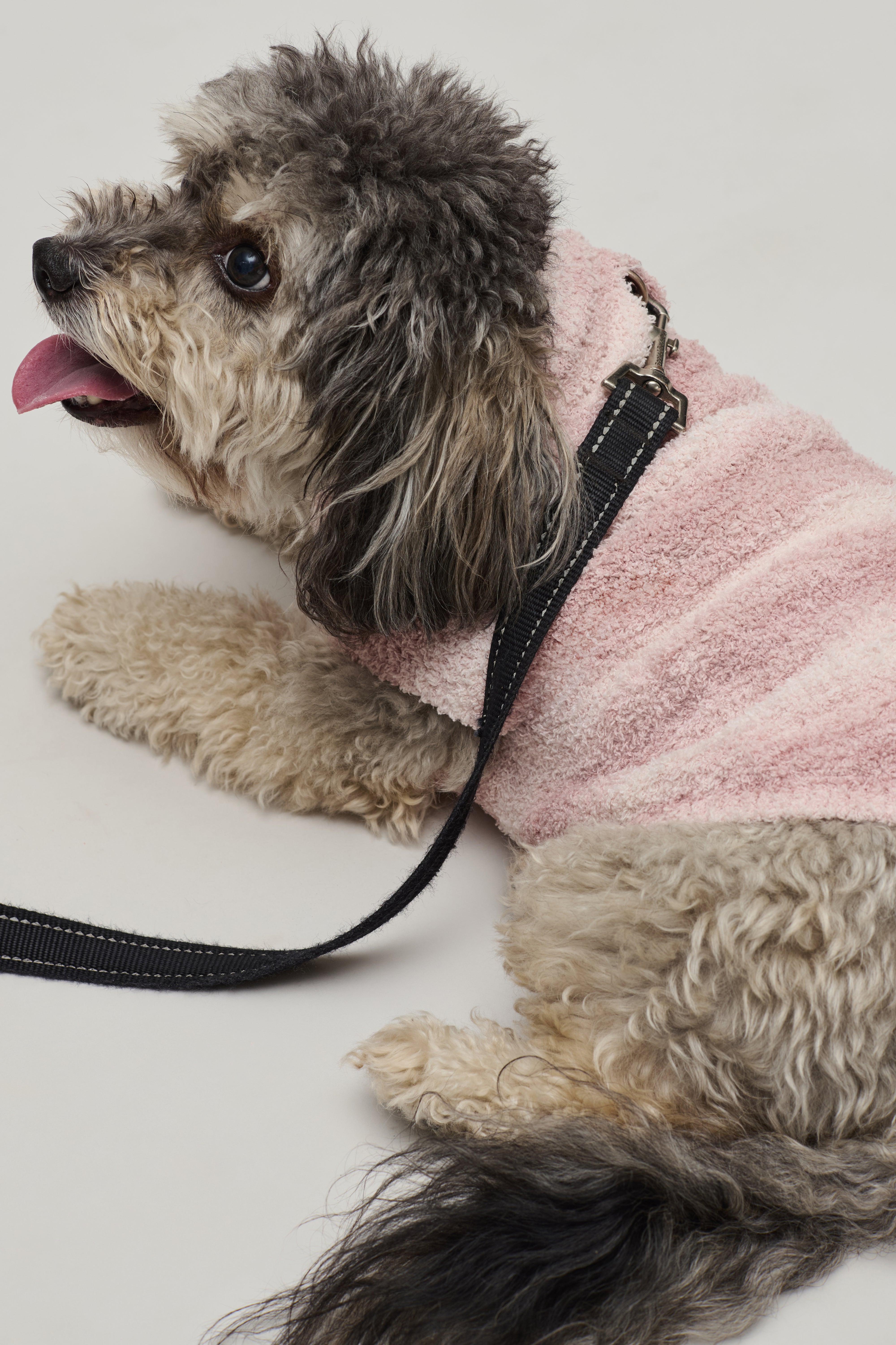犬服・アクセサリー BAREFOOT DREAMS PET CozyChic® Space Dye Pet Sweater | Barefoot Dreams®