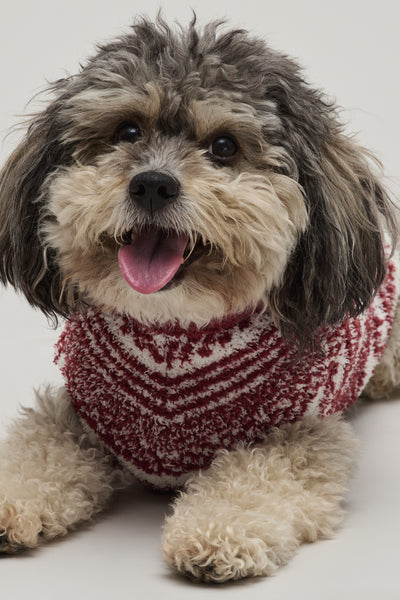 CozyChic® Checkered Stripe Pet Sweater | Barefoot Dreams®