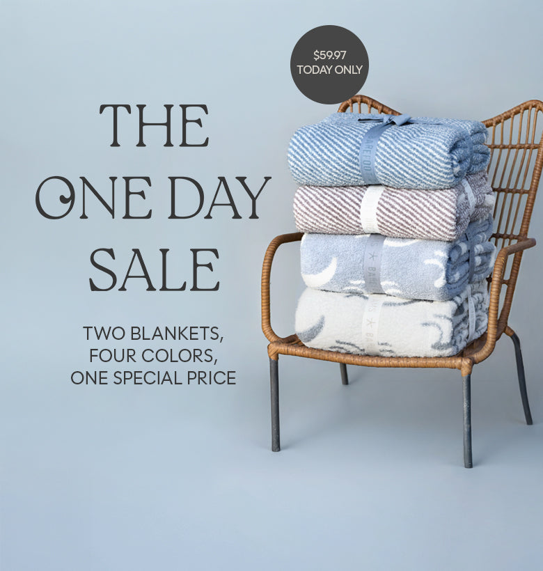 One Day Deal, two blankets, four colors, one special price, $59.97
