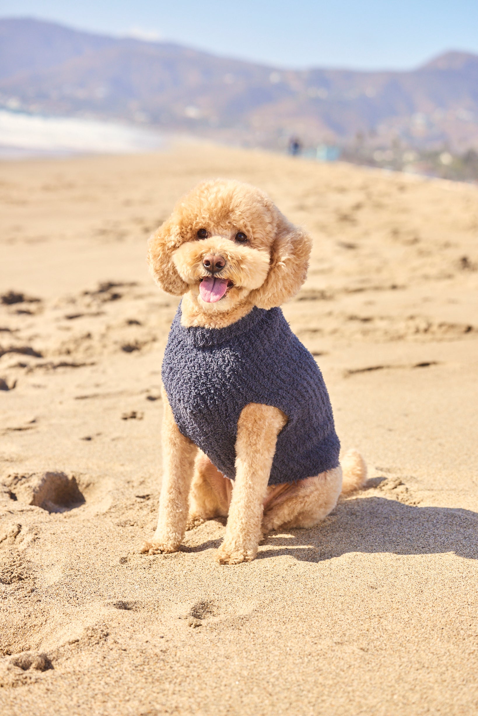 ベアフットドリームス ロサンゼルス・ドジャース クッション MLB】ロサンゼルス ドジャース ピロー コージーシック(4155400022