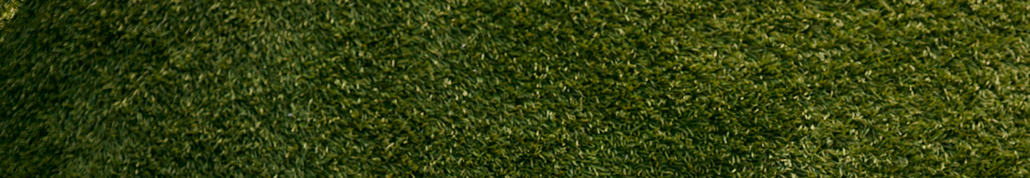  Grass from a baseball field