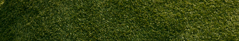  Grass from a baseball field