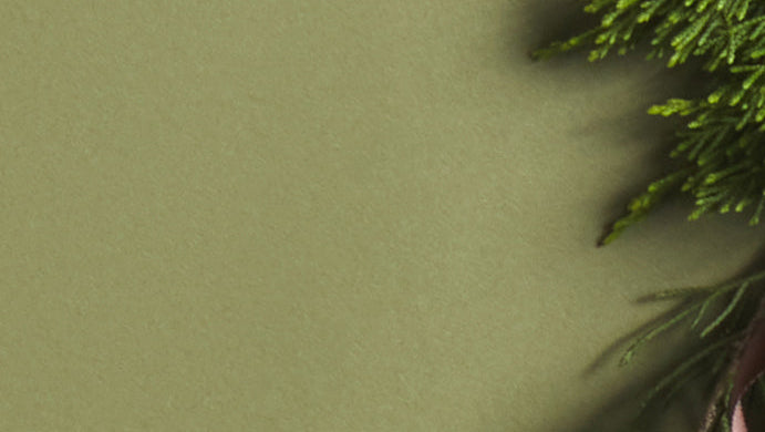 Green pine branches arranged along the right side of a muted olive-green background, tied with a dark brown ribbon.