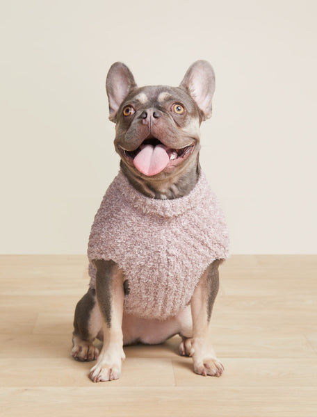 CozyChic® Ribbed Pet Sweater | Barefoot Dreams®